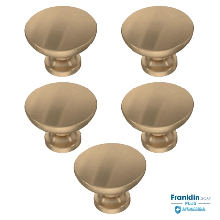 A large image of the Franklin Brass P29523Z-B-5PACK Antimicrobial Pack CZA