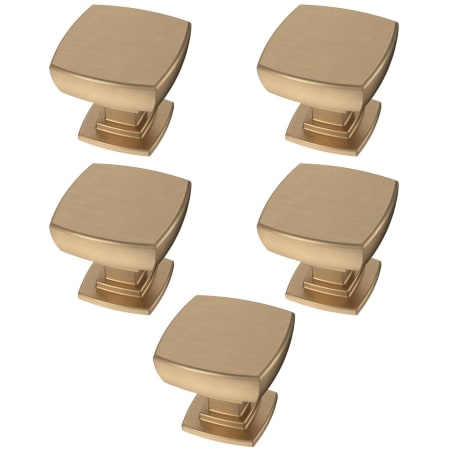 A large image of the Franklin Brass P29542Z-B-5PACK Alternate Image
