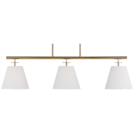 A large image of the Generation Lighting 3002003 Satin Brass