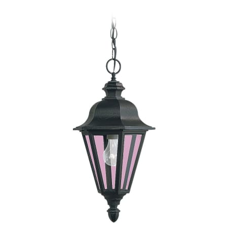 A large image of the Generation Lighting 6025 Black