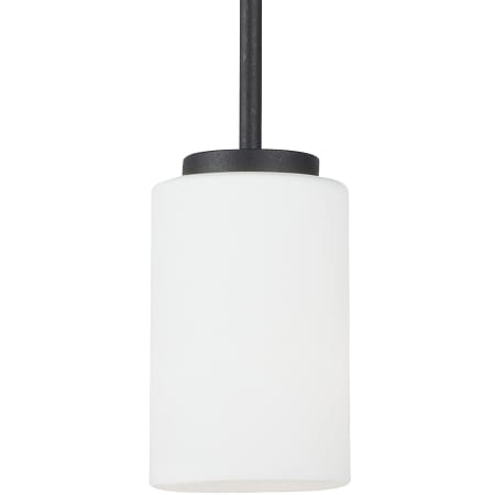 A large image of the Generation Lighting 61160 Midnight Black