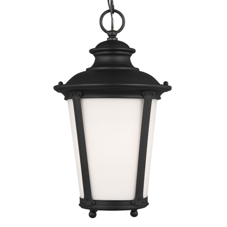 A large image of the Generation Lighting 62240 Black