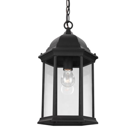 A large image of the Generation Lighting 6238701 Black