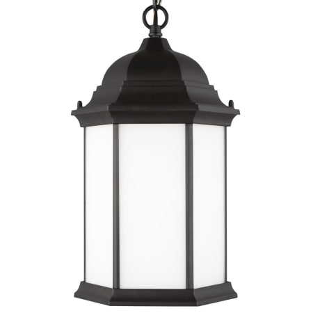 A large image of the Generation Lighting 6238751 Black