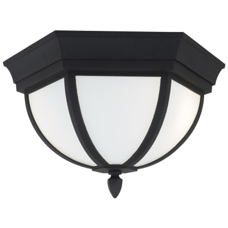 A large image of the Generation Lighting 79136 Black