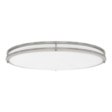 A large image of the Generation Lighting 7950893S Painted Brushed Nickel