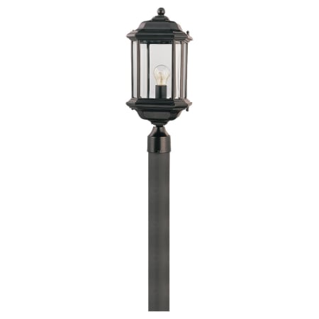 A large image of the Generation Lighting 82029 Black