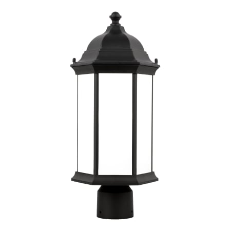 A large image of the Generation Lighting 8238601 Black