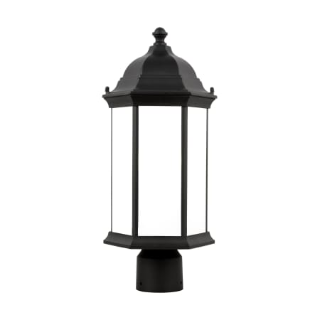 A large image of the Generation Lighting 8238651 Black