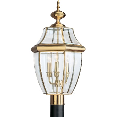 A large image of the Generation Lighting 8239 Polished Brass