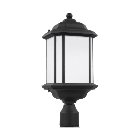 A large image of the Generation Lighting 82529 Black