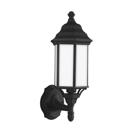 A large image of the Generation Lighting 8538751 Black