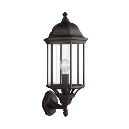 A large image of the Generation Lighting 8638701 Antique Bronze