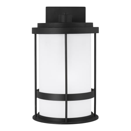 A large image of the Generation Lighting 8690901D Black