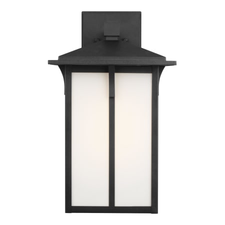 A large image of the Generation Lighting 8752701 Black
