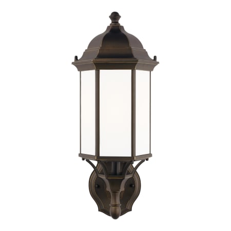 A large image of the Generation Lighting 8838701 Antique Bronze