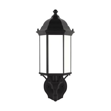 A large image of the Generation Lighting 8838751 Black