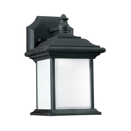A large image of the Generation Lighting 89101 Black