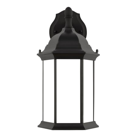 A large image of the Generation Lighting 8938701 Black