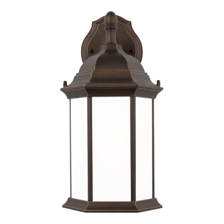 A large image of the Generation Lighting 8938751 Antique Bronze