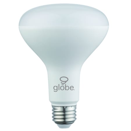 A large image of the Globe Electric 39036 Warm White