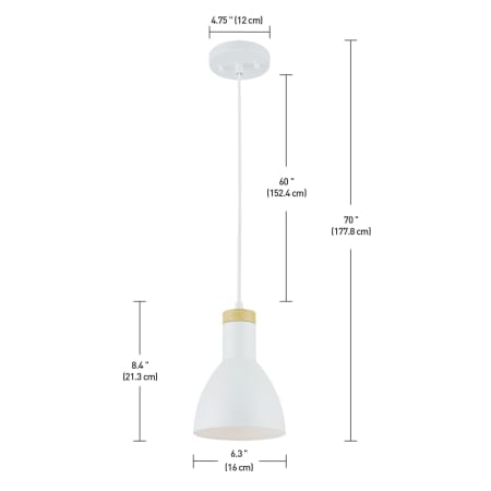 A large image of the Globe Electric 60765 Alternate View