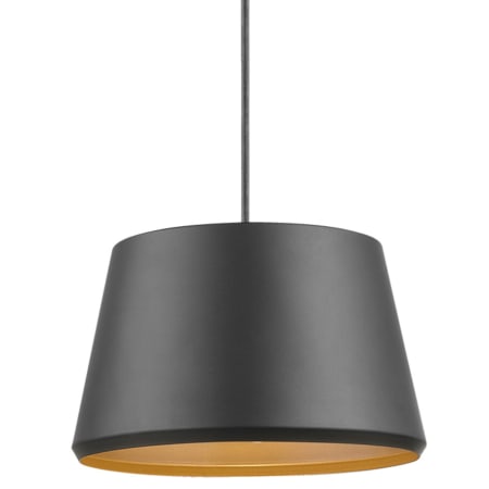 A large image of the Globe Electric 67348 Dark Gray