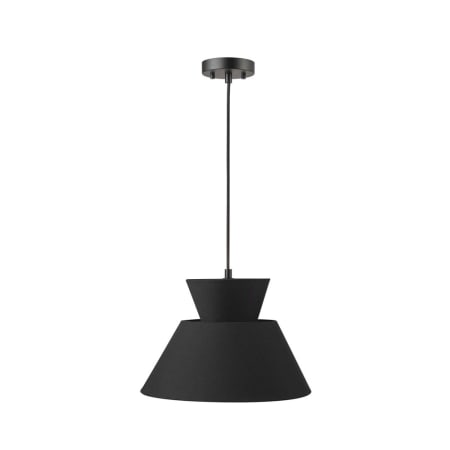 A large image of the Globe Electric 91002452 Satin Black