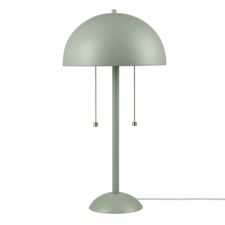 A large image of the Globe Electric 91002528 Satin Green