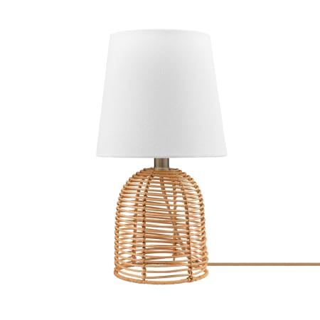 A large image of the Globe Electric 91005989 Rattan