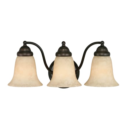 A large image of the Golden Lighting 5663 Rubbed Bronze
