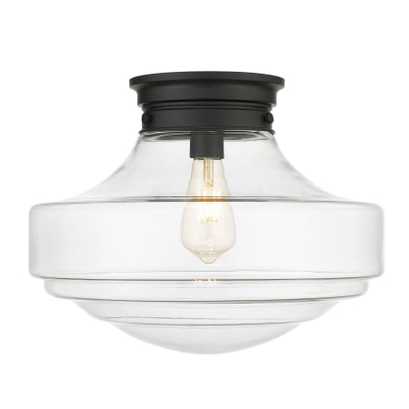 A large image of the Golden Lighting 0508-LSF Matte Black / Clear