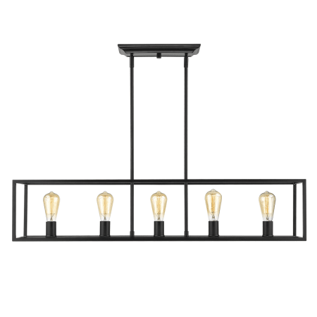A large image of the Golden Lighting 2072-LP Black