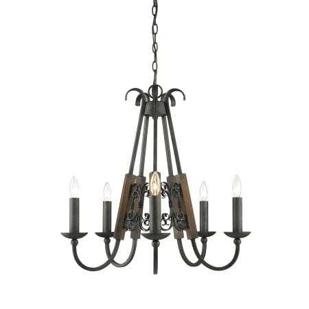 A large image of the Golden Lighting 3281-5 Black Iron