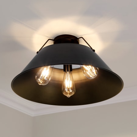 A large image of the Golden Lighting 3306-3FM BLK Alternate Image