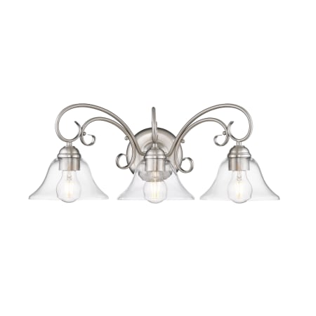 A large image of the Golden Lighting 8606-BA3 Pewter / Clear