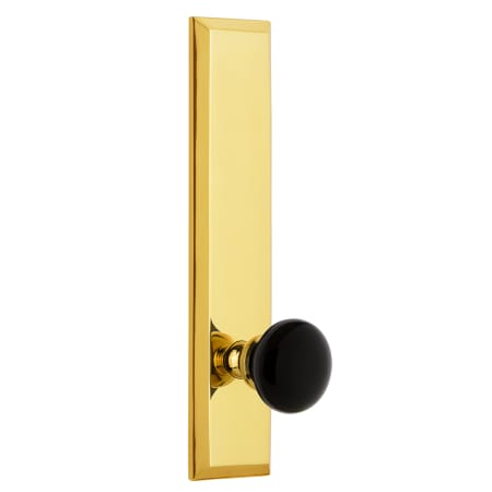 A large image of the Grandeur FAVCOV_TP_DD_NA Polished Brass