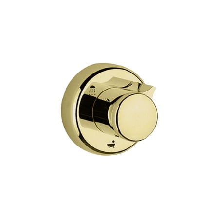 A large image of the Grohe 19 905 Polished Brass