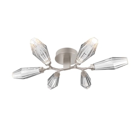 A large image of the Hammerton Studio CLB0049-01-L1 Metallic Beige Silver / Optic Rib Clear