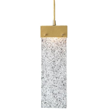 A large image of the Hammerton Studio PLB0042-07 Clear Rimelight Glass with Gilded Brass Finish