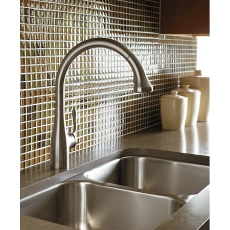 A large image of the Hansgrohe 06460 Alternate View