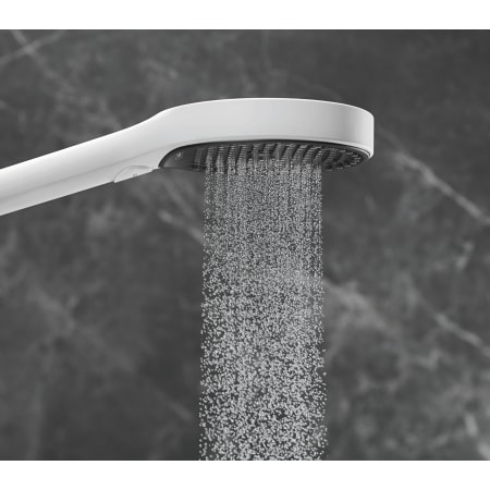 A large image of the Hansgrohe 26865  Alternate View