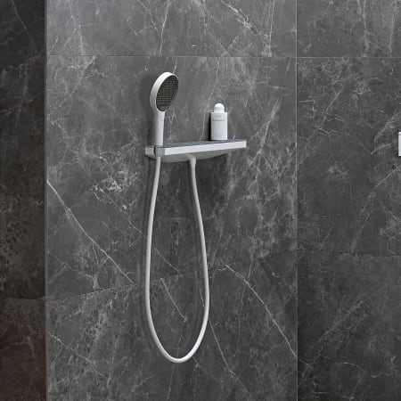 A large image of the Hansgrohe 26864 Alternate View