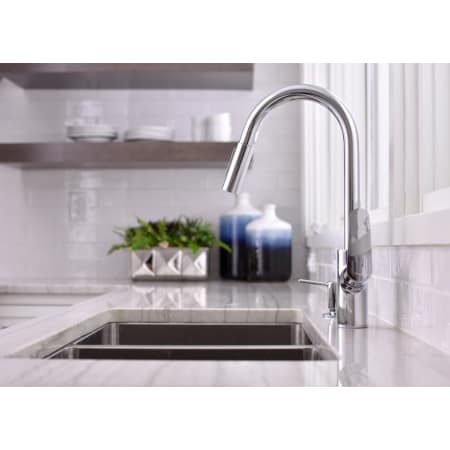 Hansgrohe 04505000 Chrome Focus Pull Down Kitchen Faucet