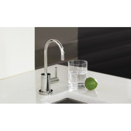 A large image of the Hansgrohe 04301 Alternate View