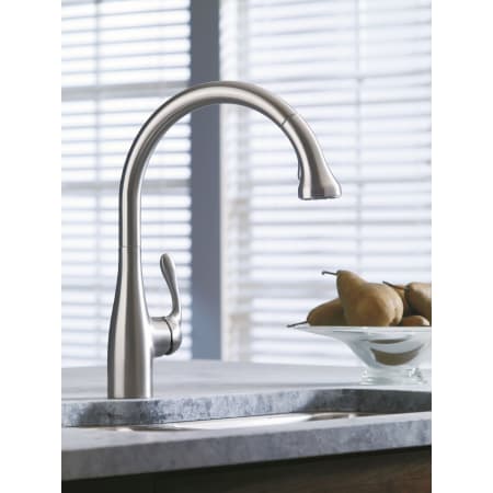 A large image of the Hansgrohe 04066 Alternate Image
