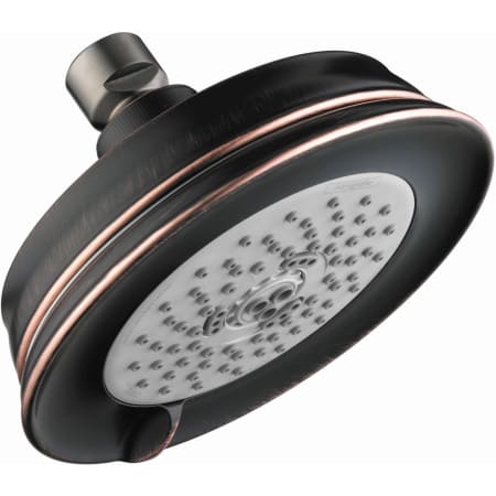 A large image of the Hansgrohe 04070 Rubbed Bronze