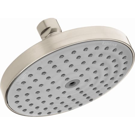 A large image of the Hansgrohe 04342 Brushed Nickel