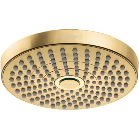 A large image of the Hansgrohe 04388 Brushed Gold Optic