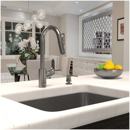 A large image of the Hansgrohe 04505 Alternate Image
